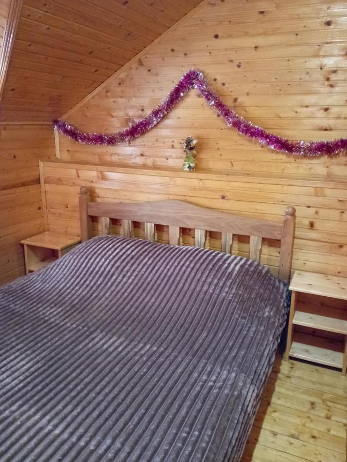 Holiday Home Melodiya Karpat Jaremče Exteriér fotografie