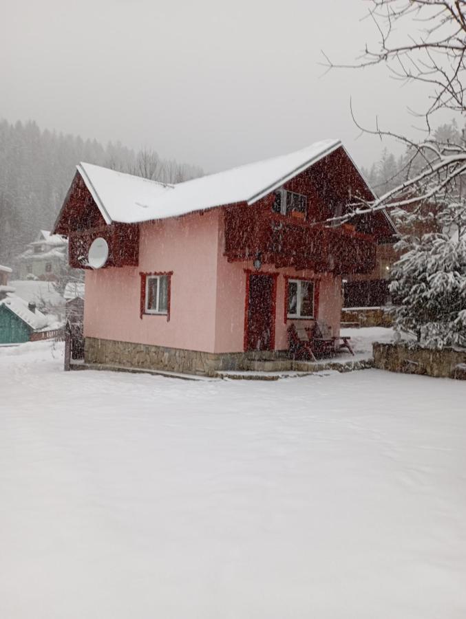 Holiday Home Melodiya Karpat Jaremče Exteriér fotografie
