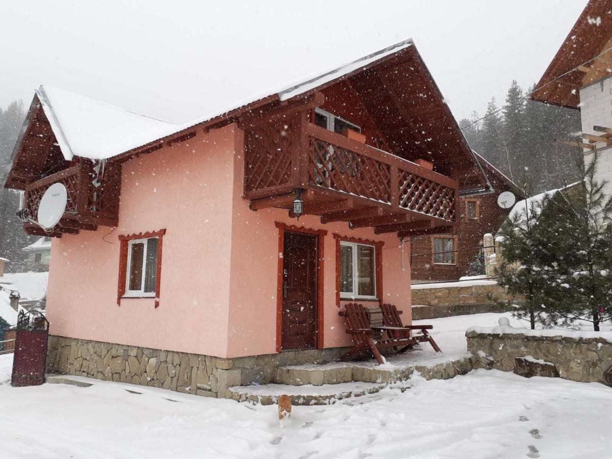 Holiday Home Melodiya Karpat Jaremče Exteriér fotografie